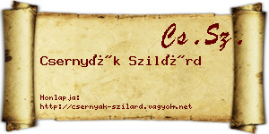 Csernyák Szilárd névjegykártya
